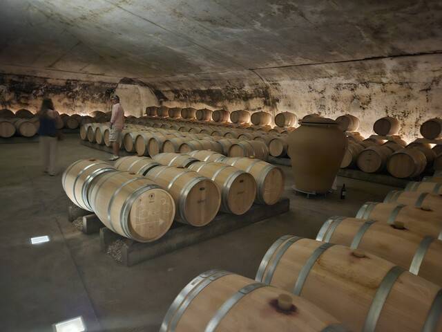 프랑스 생테밀리옹의 ‘샤토 라 가펠리에르’ 와인 숙성고 올해 6월 모습. 천호성 기자