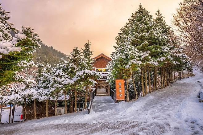 국립한국자생식물원의 겨울 전경. [사진 한국수목원정원관리원]