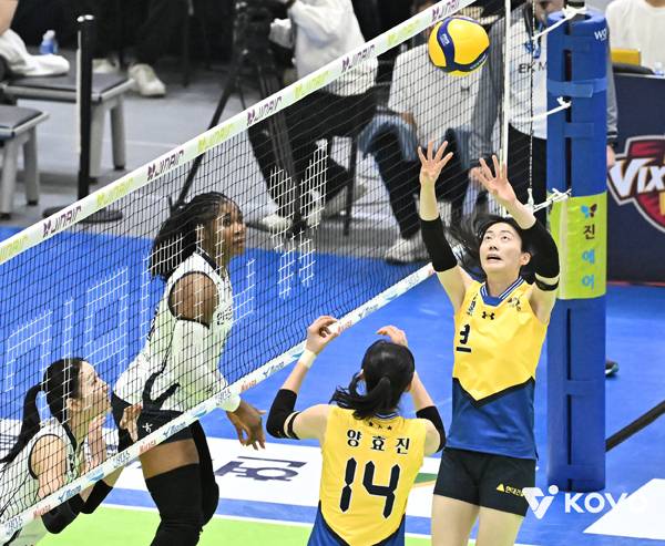 김다인은 현대건설의 주장으로서, 세터로서 책임감을 다하고 있다. 사진 제공= KOVO