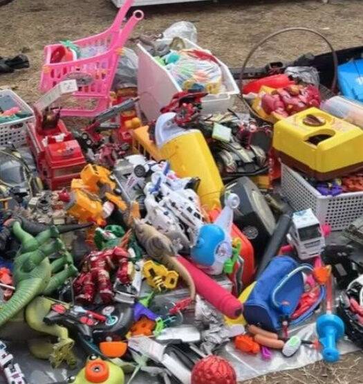 황정음 장난감./소셜미디어