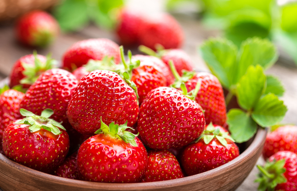 클립아트코리아