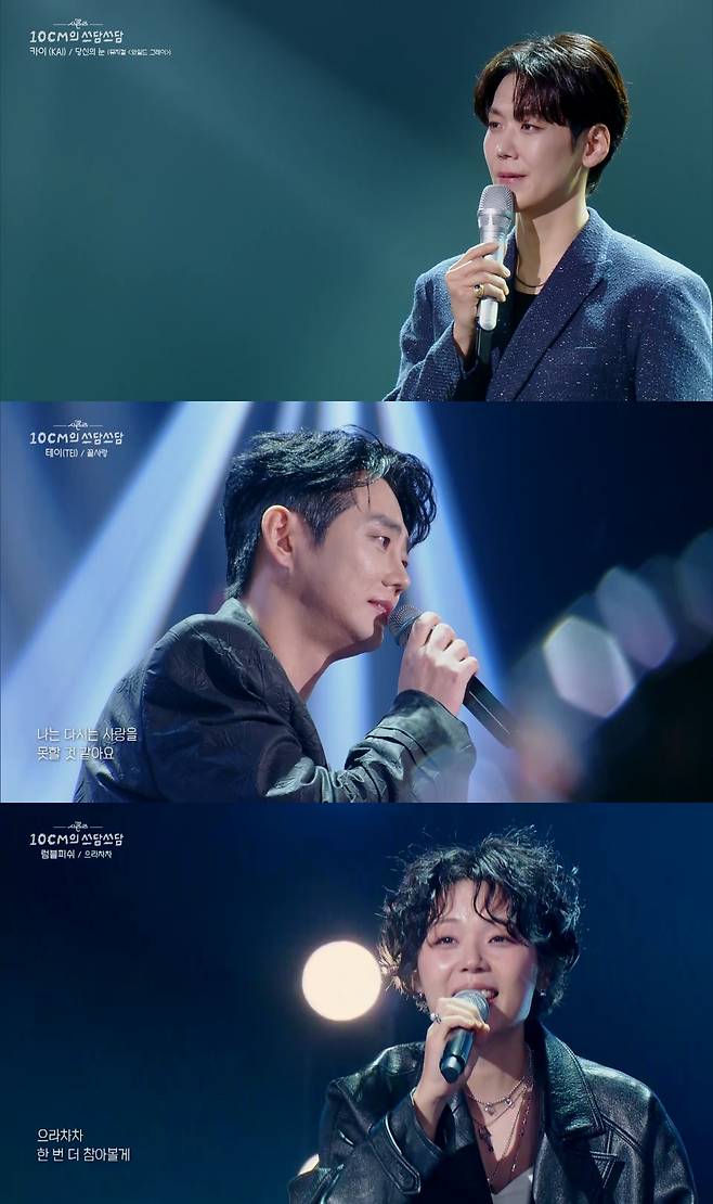 /사진=KBS 2TV '더 시즌즈-10CM의 쓰담쓰담'