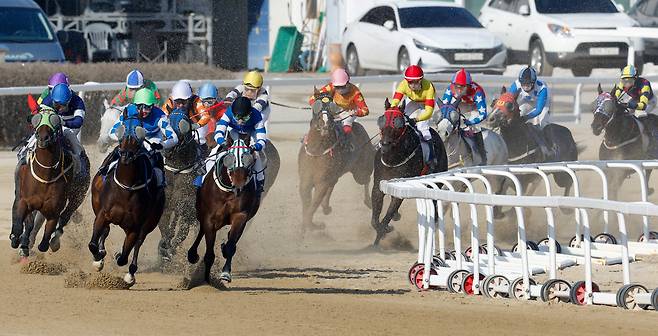 15일 경기 과천 렛츠런파크 서울에서 열린 ‘제24회 세계일보배 대상경주’에 출전한 경주마들이 결승선을 향해 역동적인 레이스를 펼치고 있다. 과천=유희태 기자