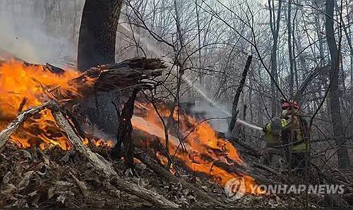 경주 산불 진화하는 소방대원들 [경북소방본부 제공. 재판매 및 DB 금지]
