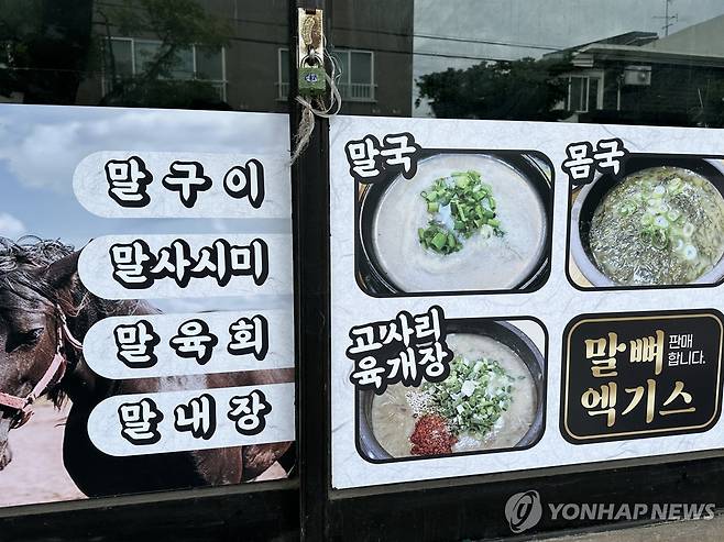 제주 말고기 연합뉴스 자료사진