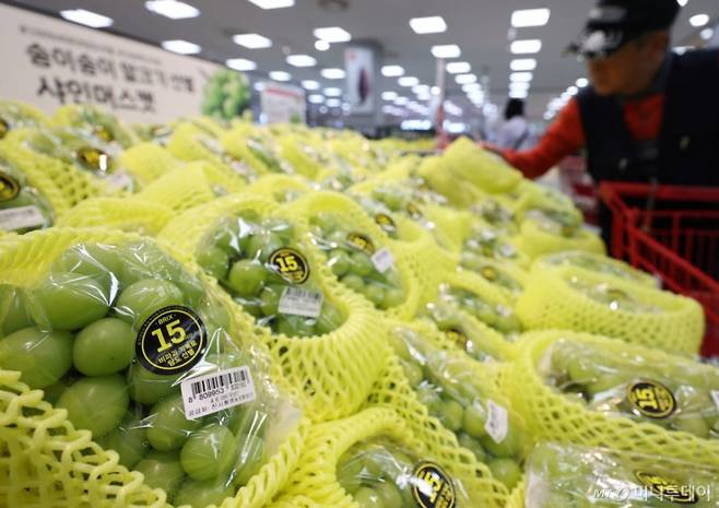 [서울=뉴시스] 김금보 기자 = 8일 서울시내 한 대형마트에서 손님이 과일코너를 살펴보고 있다. 2024.10.08. kgb@newsis.com /사진=김금보