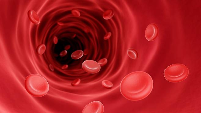 술, 단 음료, 정제 탄수화물은 중성지방을 빠르게 올리므로 피하는 것이 좋다｜출처: 클립아트코리아