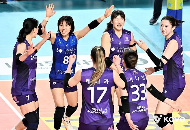 흥국생명이 17일 김천실내체육관에서 열린 도로공사와 원정 경기에서 득점 후 기뻐하고 있다. (KOVO 제공)