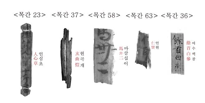 다양한 분야의 지식과 관련된 내용의 목간. 국가유산청 제공
