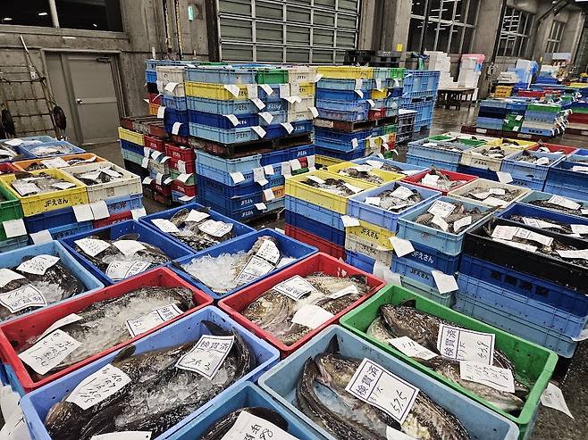 일본 홋카이도 하코다테시 수산물도매시장에서 경매를 기다리는 수산물들. 오징어는 단 한 상자도 보이지 않는다.  하코다테 이승훈 특파원