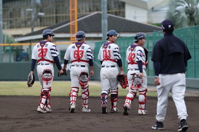 롯데 자이언츠 손성빈, 박재엽, 정문혁, 정보근./롯데 자이언츠