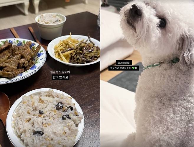 최준희 소셜미디어