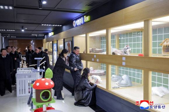 지난 16일 평양 화성지구 4단계 1만세대 살림집 준공식이 진행된 가운데, 김정은 북한 국무위원장 가족이 애완동물 가게를 둘러보고 있다. 평양 조선중앙통신 연합뉴스