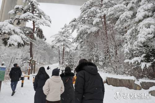 메마른 동해안 지역에 10cm 안팎의 많은 눈이 내린 지난 16일 강릉시 성산면 옛영동고속도로 주변에 설경이 펼쳐져 귀성객들이 추억을 남기고 있다. 대설특보가 발효된 동해안과 산지에 시간당 1~3㎝, 최대 10㎝의 눈이 내려 대부분 지역에 내려진 건조특보가 53일만에 해제됐다 강릉=권태명기자