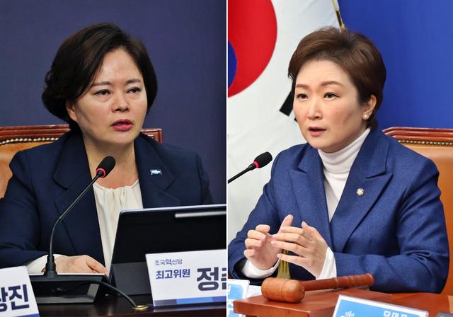 왼쪽부터 조국혁신당 최고위원인 정춘생 의원, 더불어민주당 최고위원인 이언주 의원.[정춘생·이언주 국회의원 페이스북 사진 갈무리]