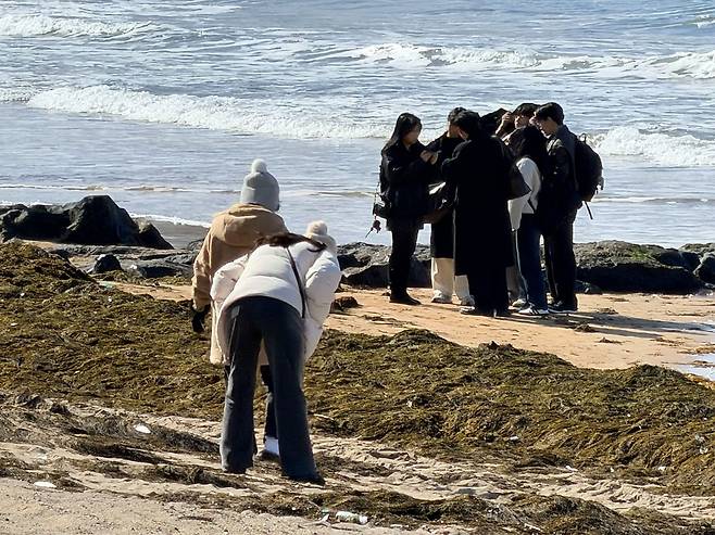 관광객이 지난 9일 오후 제주시 이호해수욕장과 해안 등을 뒤덮은 괭생이모자반을 바라보고 있다. 최충일 기자