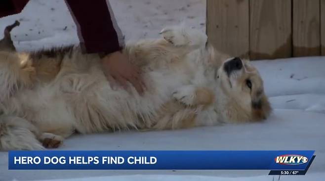 미국 루이빌 지역에서 실종 아동을 찾아낸 영웅견 [WLKY 보도 화면 캡처]