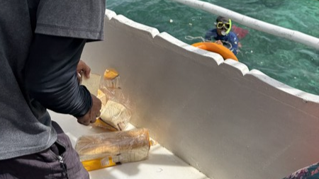 지난 15일 필리핀 세부 올랑고섬 근처 해안에서 호핑투어 가이드가 물고기를 유인하기 위해 바다에 식빵을 뿌리고 있다. 무분별한 먹이 살포가 해양 생태계에 악영향을 줄 수 있다는 우려가 나오고 있다.