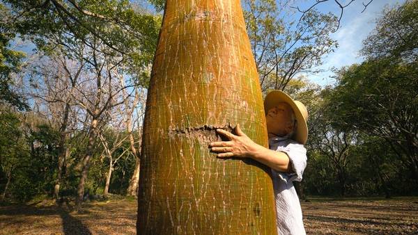 영화 <나무의 노래> 장면. /갈무리