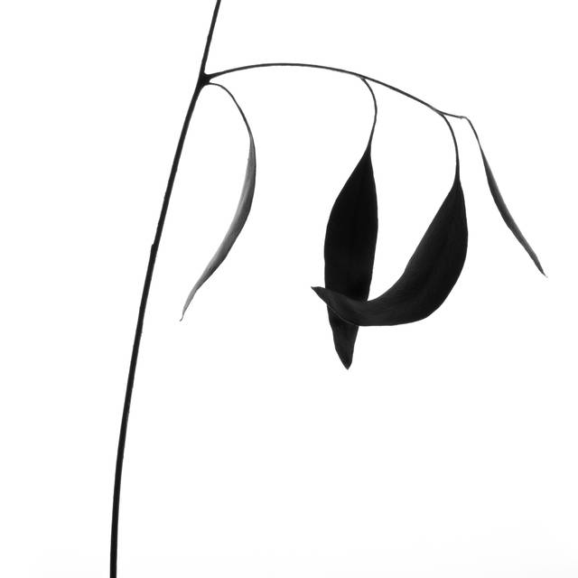 주재범 작, '_존재의 형태'. 아트스페이스 루모스 제공