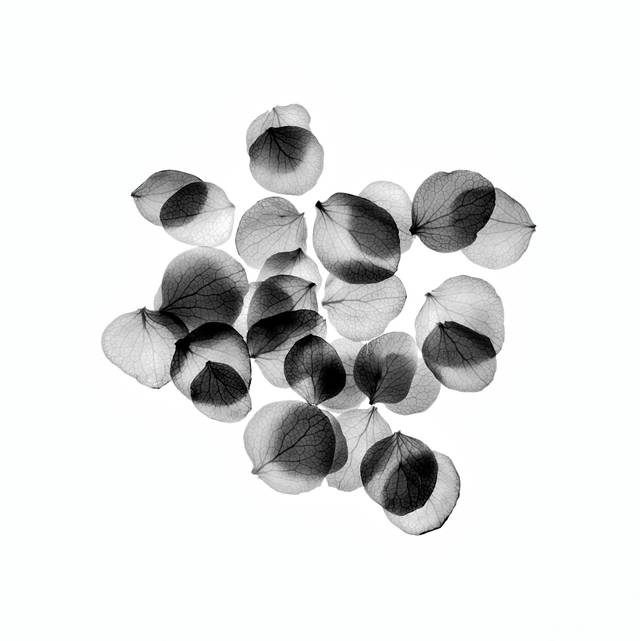 주재범 작, '_존재의 형태'. 아트스페이스 루모스 제공