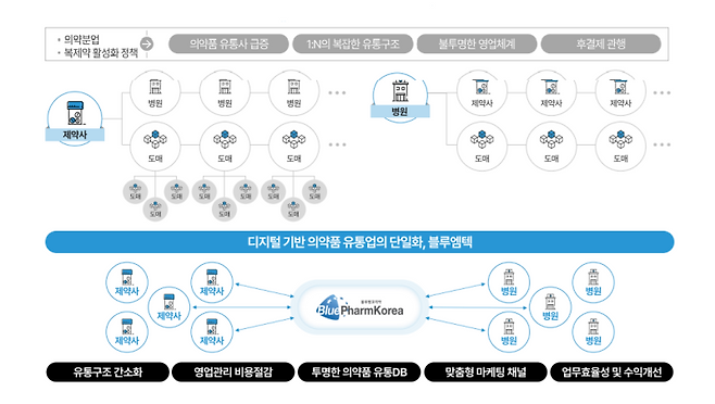 국내 의약품 유통시장 현황. (자료=블루엠텍)