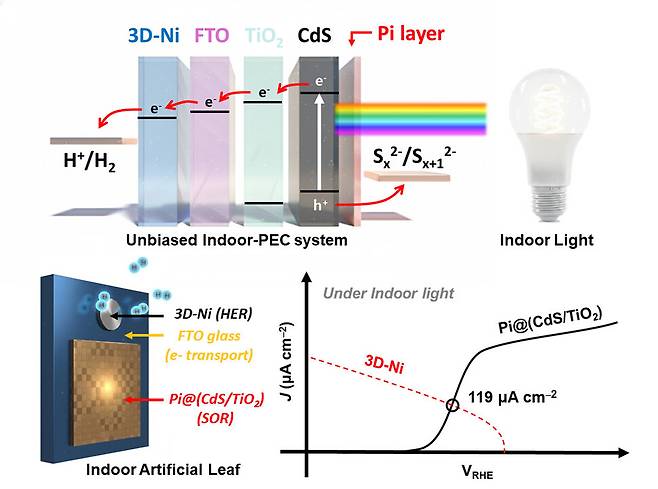 울산과학기술원 에너지화학공학과 장지현 교수팀이 개발한 실내조명용 수소 생산 인공 나뭇잎의 구조와 성능. 울산과학기술원 제공