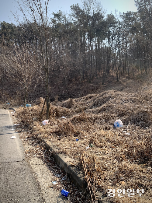 20일 정오께 화성시 만세구 양감면 덕지산 초입 풀숲에 페트병과 비닐봉투 등 생활쓰레기가 흩어져 있다. 2026.2.20 /유혜연기자 pi@kyeongin.com