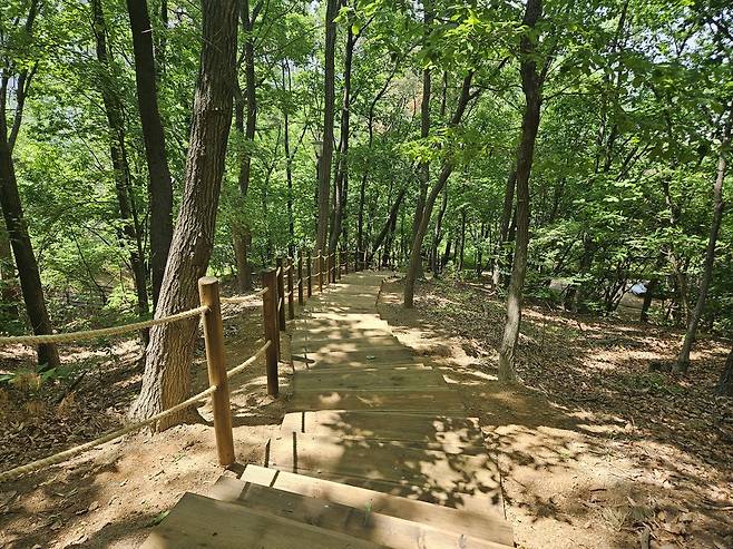 용인특례시가 지역내 도시공원 재해 대응 계획을 수립했다. 사진=용인시