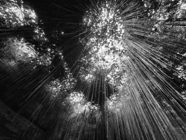 이선종, NIE. ⓒ127