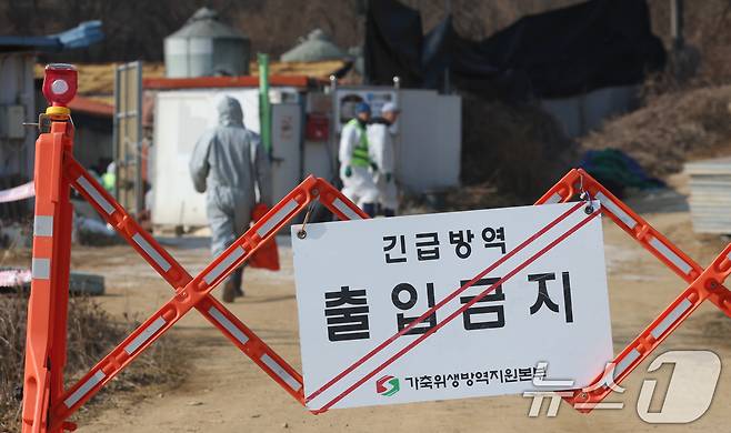 20일 경기 평택시의 한 양돈농장에서 고병원성 아프리카돼지열병(ASF) 발생해 방역당국이 통제 및 방역 작업을 하고 있다. 2026.2.20 ⓒ 뉴스1 김영운 기자