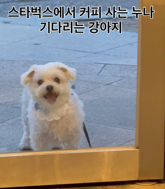 언제 어디서나 누나만 바라봐요. 보호자 제공