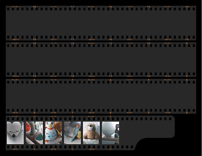 후지필름 X 하프 필름카메라 모드로 촬영한 뒤 현상한 필름. [박혜림 기자/rim@]