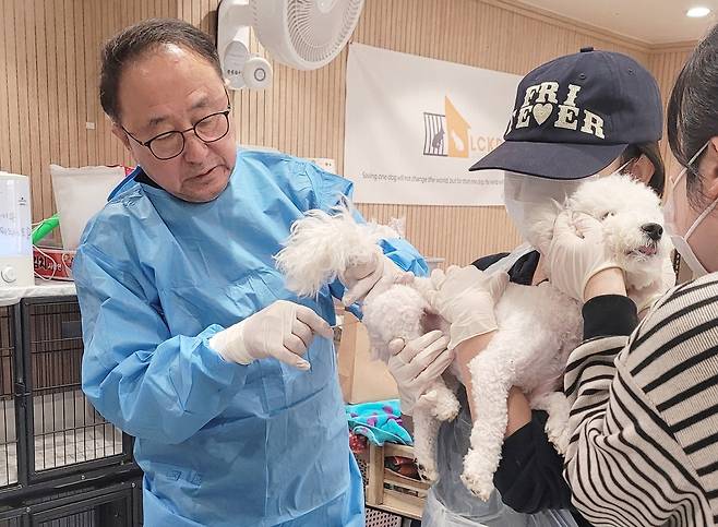 정인성 로얄동물메디컬센터 원장이 엘씨케이디에서 수의료 봉사를 진행하고 있다(LCKD 제공). ⓒ 뉴스1