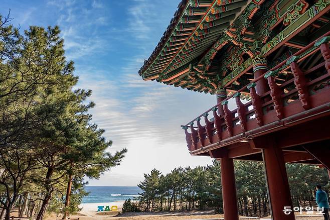 바다와 해변, 송림을 내려다볼 수 있는 월송정.