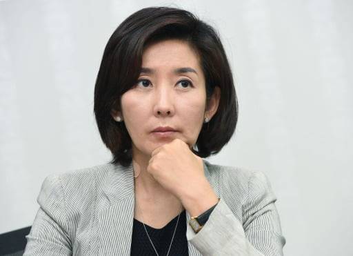 나경원 국민의힘 의원(한경DB)