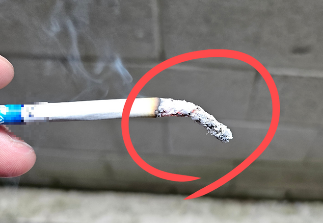 타들어 가는 담배.[독자 제공]