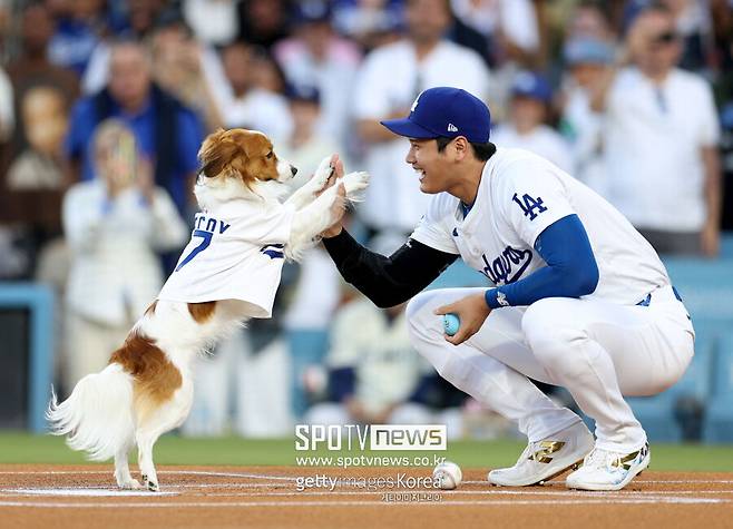 ▲ 디코이는 이번 오프시즌 화제를 일으킬 만한 요소들이 더러 있었고, 이는 메이저리그 공식 X의 게시글 분석에서도 적나라하게 드러났다