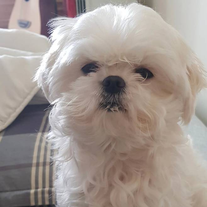 사진=구성환 인스타그램