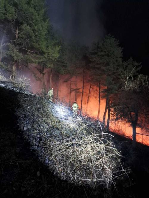 ◇22일 새벽 2시59분께 강릉시 구정면 덕현리의 한 야산에서 불이 났다. 이 화재로 인한 인명피해는 없었으나 산림 200㎡가 소실됐다. 사진=강원특별자치도소방본부 제공