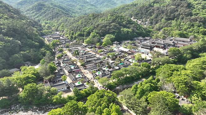영화 ‘왕과 사는 남자’ 촬영지인 문경새재 드라마 오픈 세트장. /문경시 제공