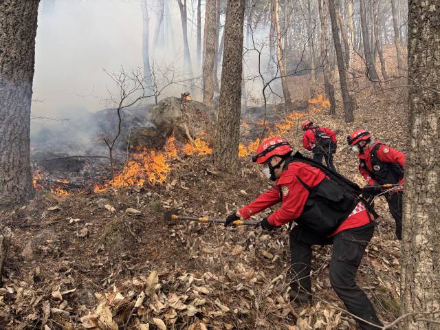 22일 오후 경남 함양군 산불 현장에서 산림청 산불재난특수진화대원이 방화선을 구축하며 진화작업을 벌이고 있다. 연합뉴스