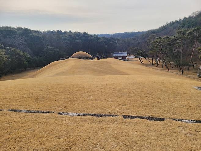 ▲ 인선왕후릉 후면