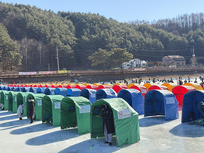 평창 송어축제 텐트 낚시터 / 사진= 문서연 여행+ 기자