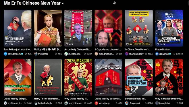 중국 동영상 플랫폼 틱톡에서 '말포이(馬爾福, MaErFu)'로 검색한 결과 /사진=틱톡
