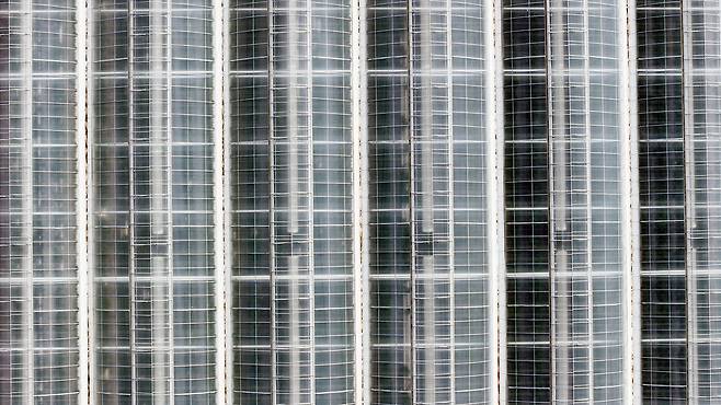 에스피아그리가 충남 서산에 4,700평 규모의 대형 비닐하우스형 스마트팜을 운영하고 있다.