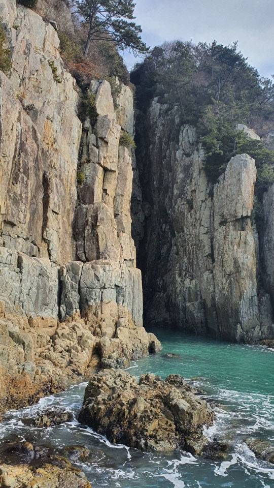 고흥 쑥섬. (사진= 김영복 연구가)