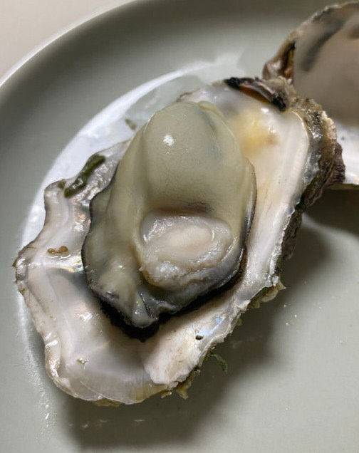 고흥 굴. (사진= 김영복 연구가)