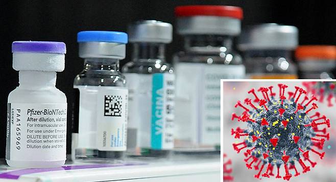 백신은 인체에 병원체를 주입해 인체의 면역 시스템이 작동할 수 있도록 항체를 만든다. 작은 사진은 코로나바이러스를 그린 일러스트. 표면의 돌기가 스파이크 단백질이다. 기존 백신은 코로나바이러스의 스파이크 단백질처럼 특정 병원체의 특정 부위만 겨냥하지만 일명 ‘만능 백신’은 면역 체계 자체를 활성화하므로 병원체 종류에 상관없이 효과를 보인다. 사진 출처 위키미디어·게티이미지뱅크