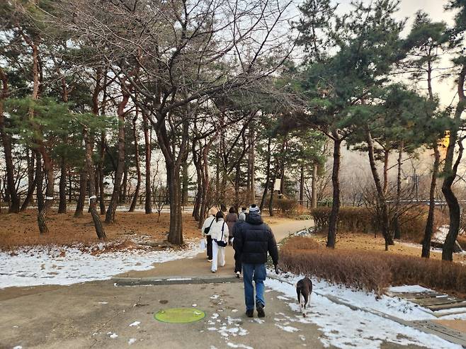곳곳에 하얀 눈이 남아 있건만, 남산 소나무림을 산책하는 사람들이 여럿 있었다.